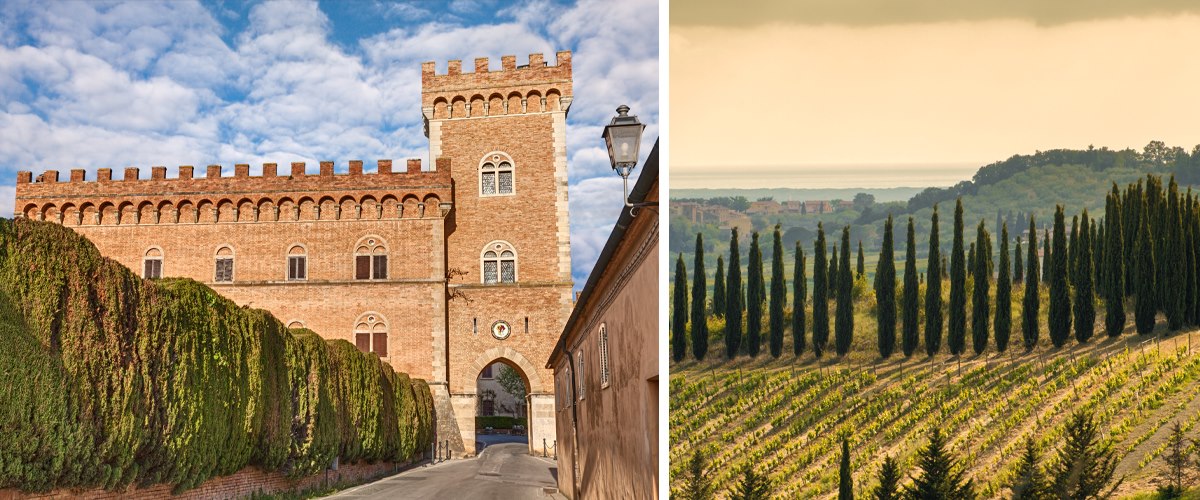 Bolgheri_Wein