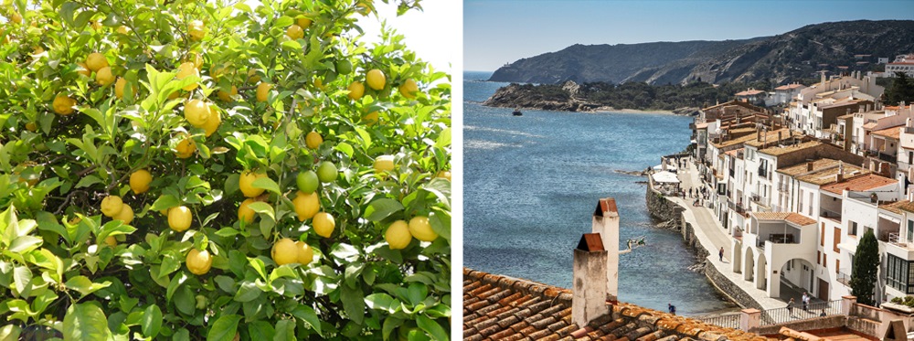 Gin Mare Landschaft
