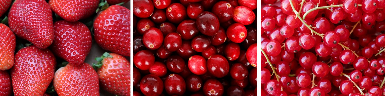 verschiedene Beeren