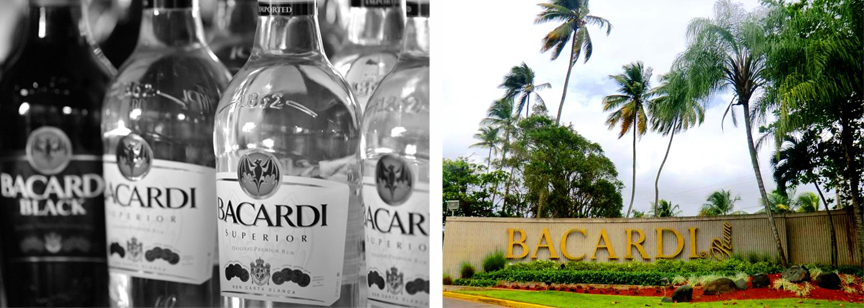 Bacardi